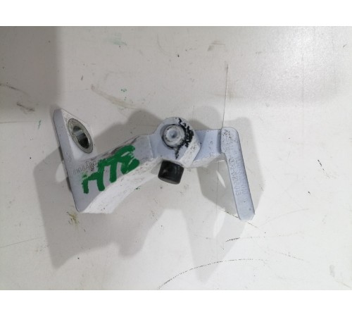 Петля двери задняя левая нижняя