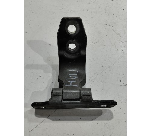 Петля двери(передняя левая нижняя)