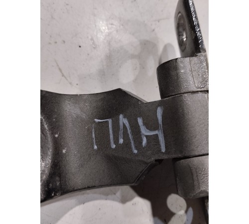 Петля двери(передняя левая нижняя)