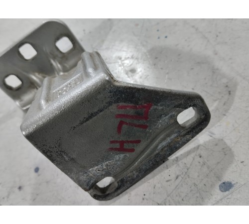 Петля двери левая нижняя