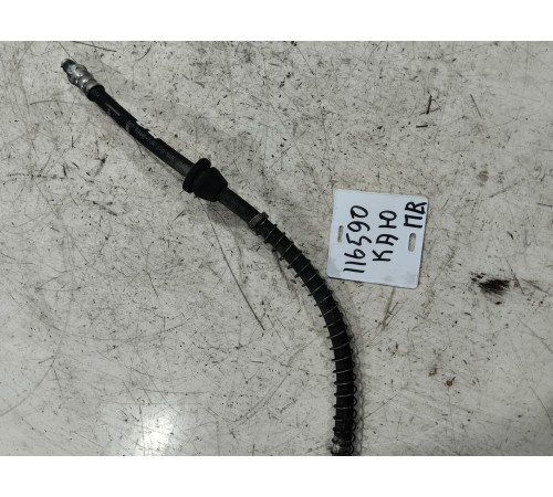 Тормозной шланг передний правый