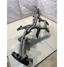 Скелет торпеды