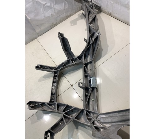 Скелет торпеды