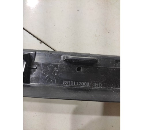 Молдинг двери (задний, левый)