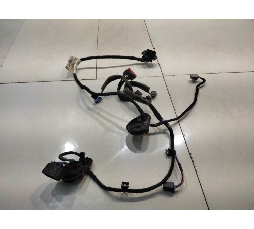 Электропроводка двери (задняя, правая)