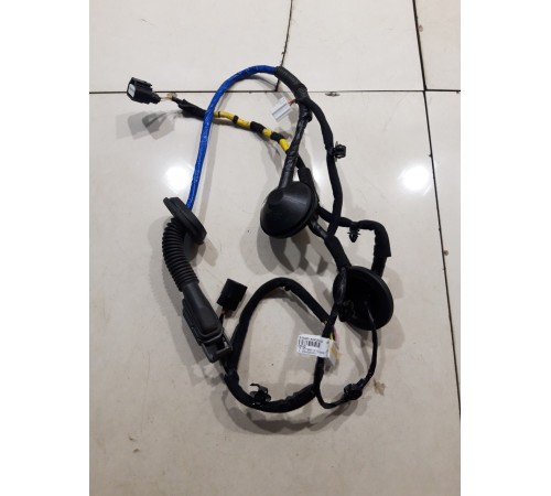 Электропроводка двери (задняя правая)