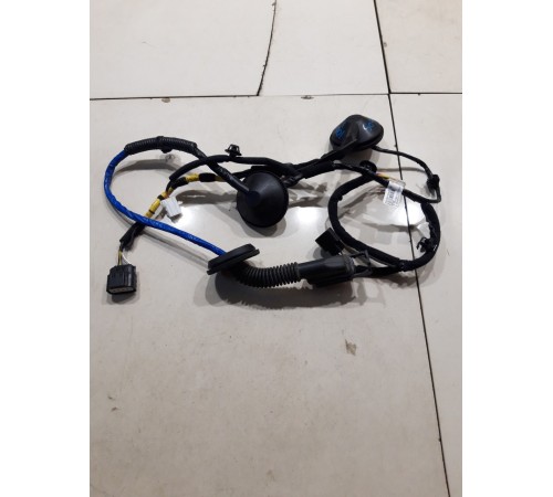 Электропроводка двери (задняя правая)