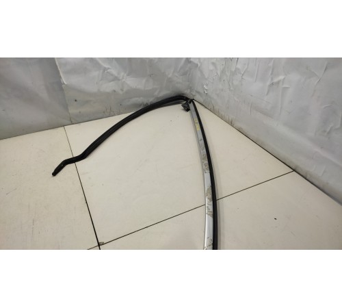 Молдинг двери (передний, левый)