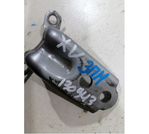 Петля двери задняя правая нижняя