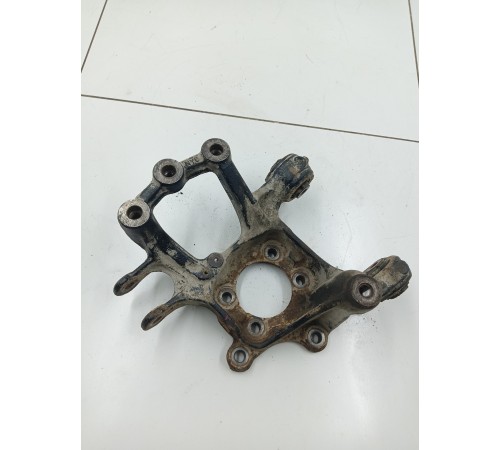 Кулак задний левый