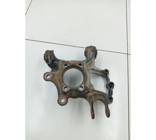 Кулак задний левый