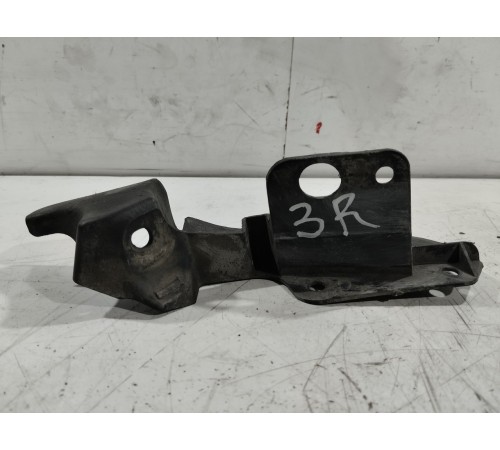 Брызговик (задний правый)