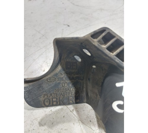 Брызговик (задний правый)