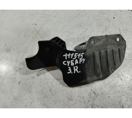 Брызговик (задний правый)