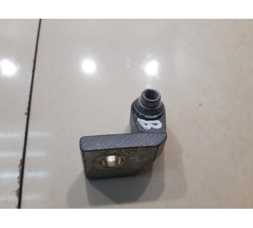 Петля двери (задняя, левая, нижняя)