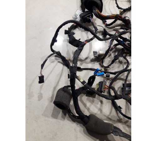 Электропроводка двери (передняя левая)