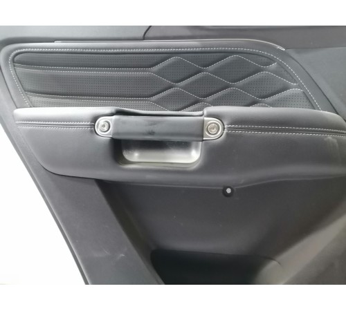 Обшивка двери задняя левая