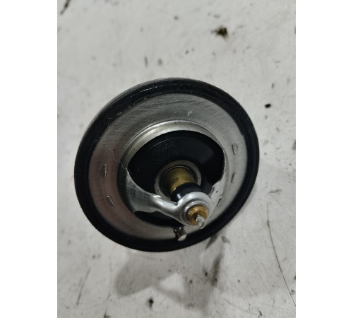 Термоэлемент термостата