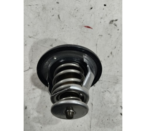 Термоэлемент термостата