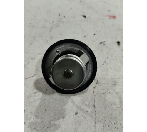 Термоэлемент термостата