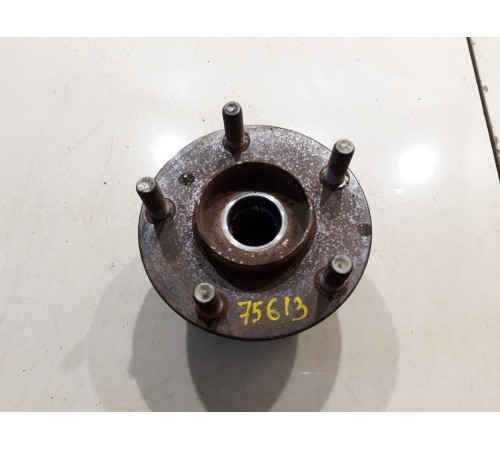 Ступица (задняя, правая)