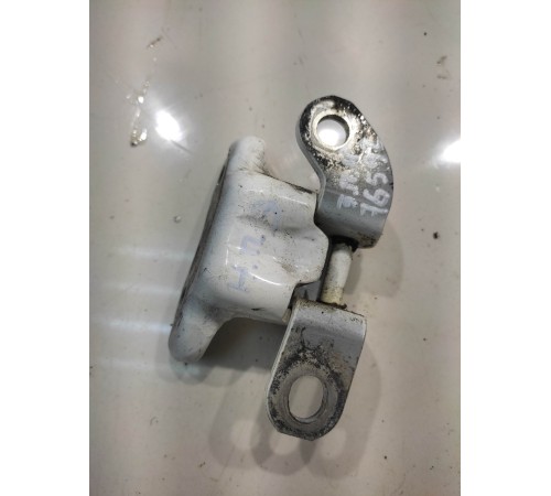 Петля двери (задняя, правая, нижняя)