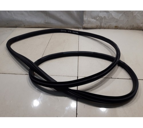 Уплотнитель двери (передний, левый)