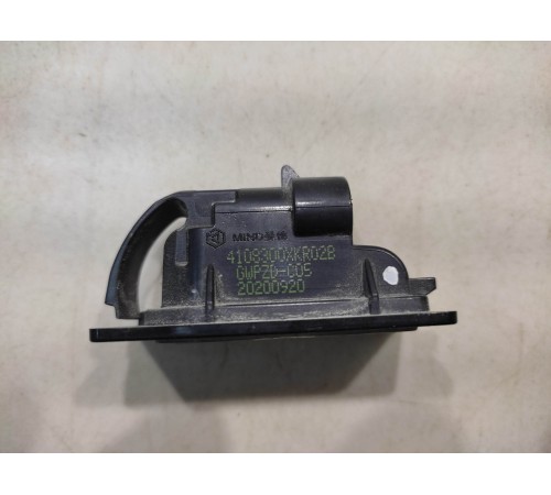 Плафон подсветки номера (задний)