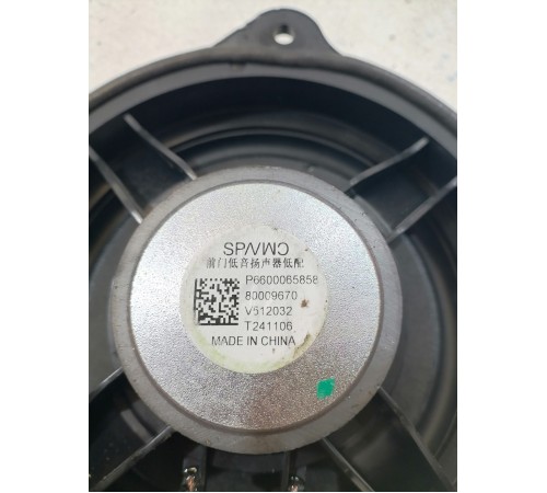 Динамик двери задний