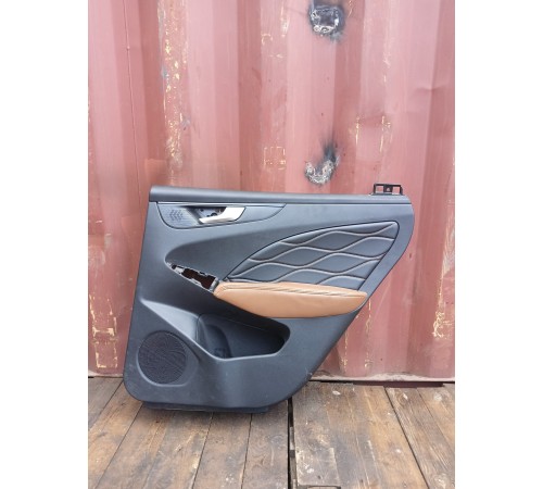 Обшивка двери задняя правая