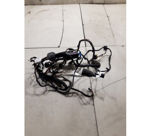 Электропроводка двери (передняя правая)