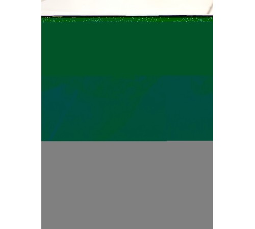 Насос вакуумный