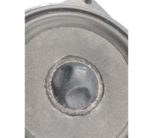 Динамик торпедо