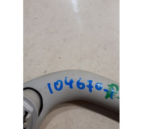 Ручка потолочная(передняя левая)