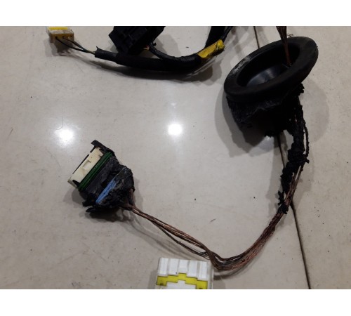 Электропроводка двери (задняя правая)