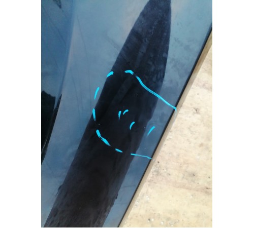 Крыло переднее правое