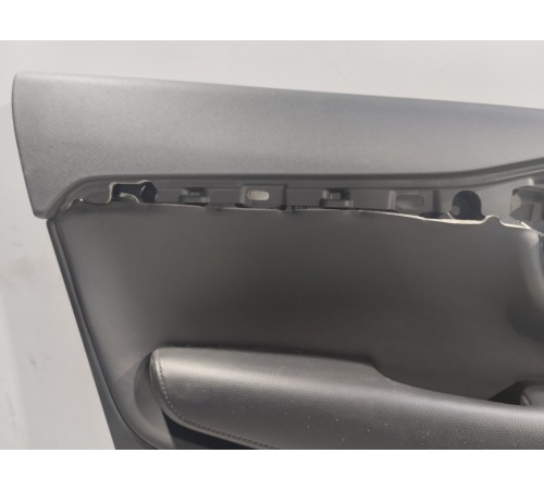 Обшивка двери (задняя левая)