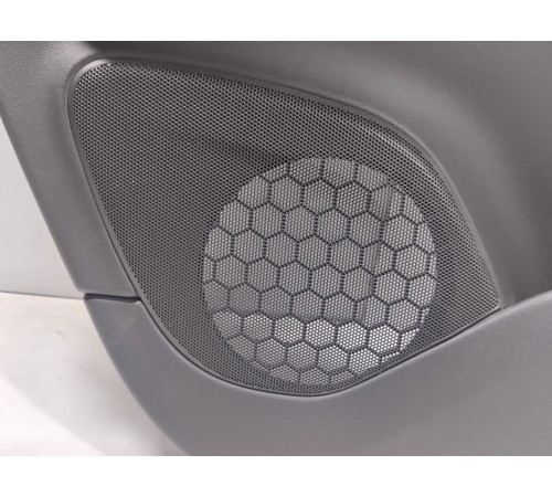 Обшивка двери (задняя левая)