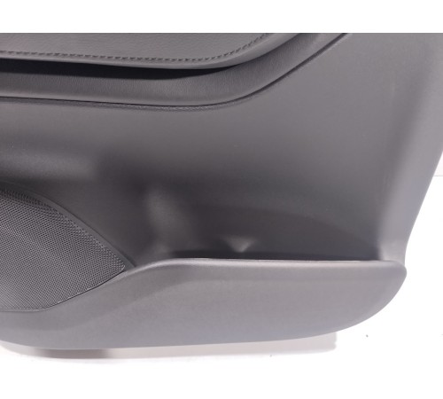 Обшивка двери (задняя левая)