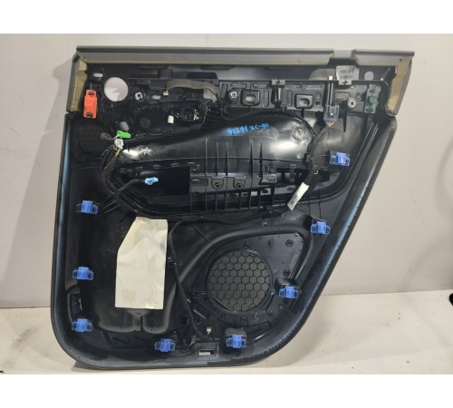 Обшивка двери (задняя левая)