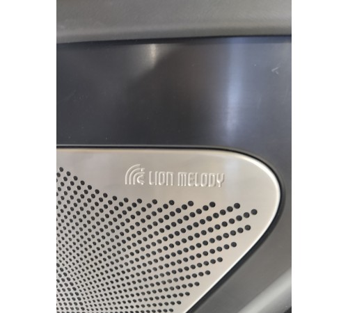 Обшивка двери задняя правая