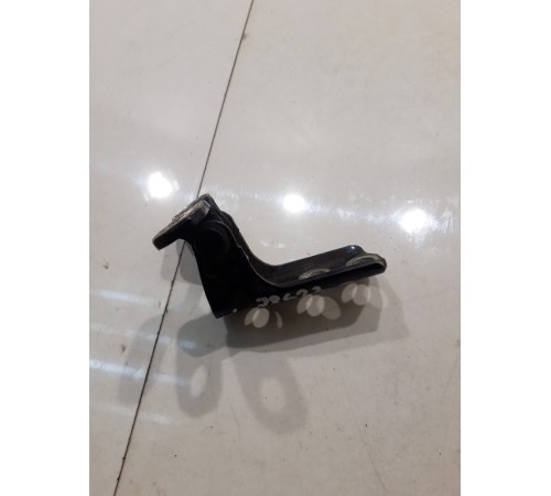 Петля двери (передняя, левая, нижняя)