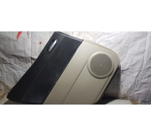 Обшивка двери (Задняя Правая)