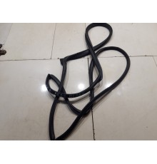 Уплотнитель двери (передний, левый)