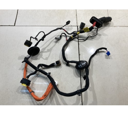 Электропроводка двери (задней левой)