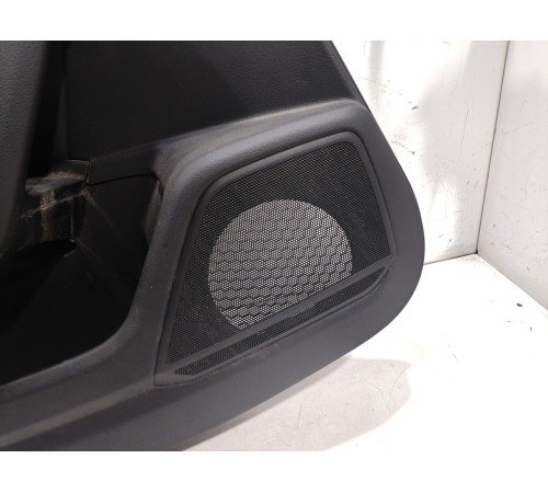 Обшивка двери (задняя левая)