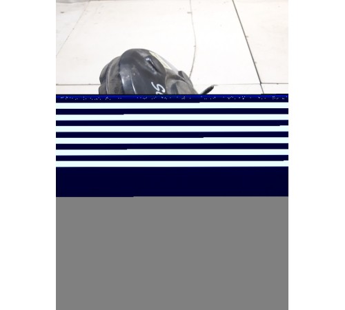 Вакуумный усилитель тормозов