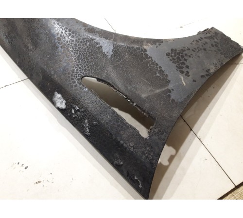 Крыло (переднее, правое)