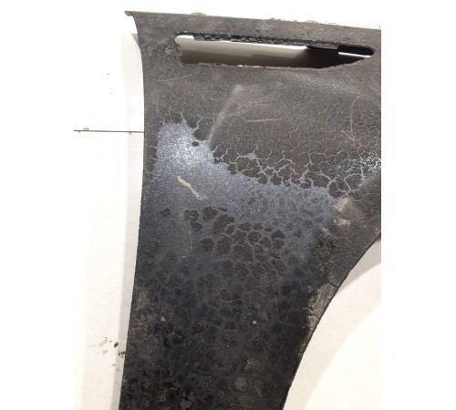 Крыло (переднее, правое)