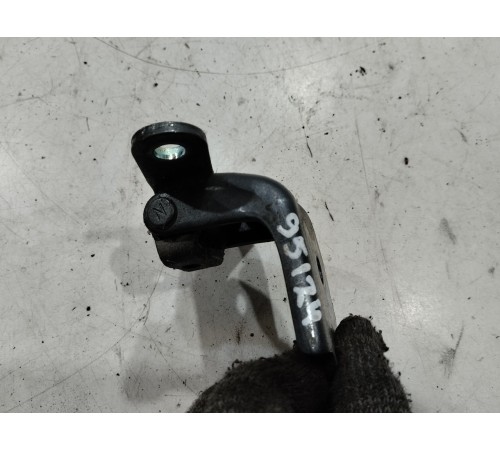 Петля двери(задняя левая нижняя)